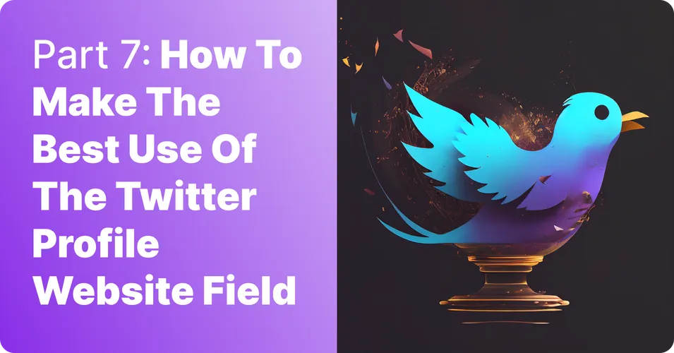 Part 7: How to make the best use of the twitter profile website field