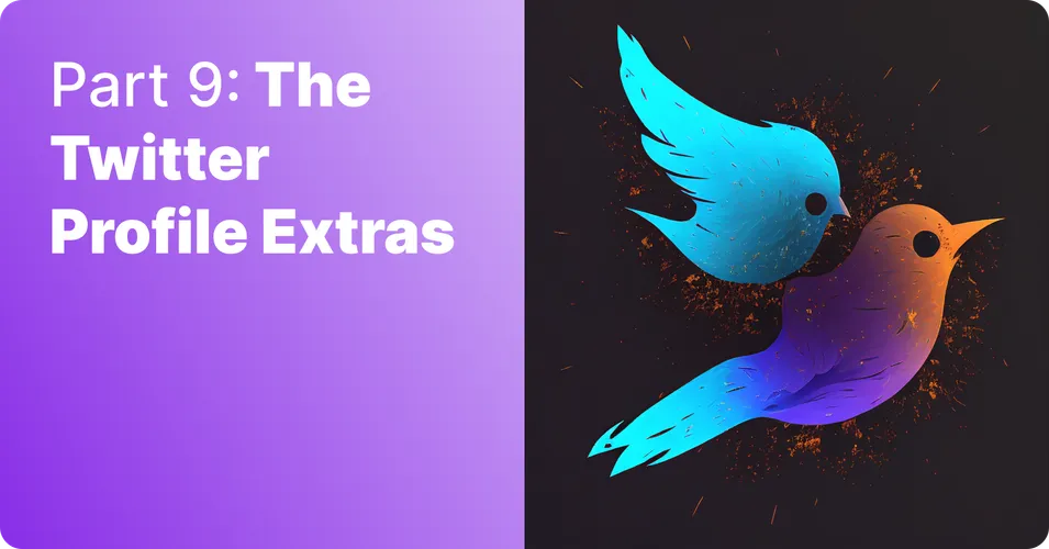 Part 9: The Twitter profile extras